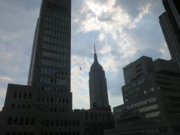 ESB View