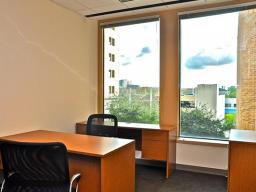 Alternate Office View