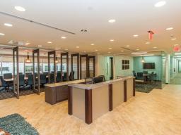 Modern Reception