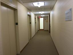 19th floor hallway & signage