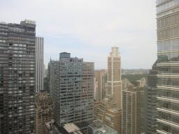 Sample view