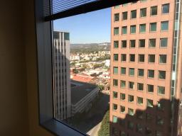 View from North windows