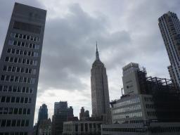 ESB View