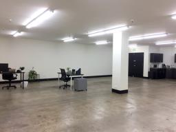 1300 SF Spacious Loft / Office / Studio / Showroom Space in DTLA (Will Divide) 